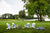 Adirondack chairs with blue pillows on a vast lawn with sunflowers and water in the background